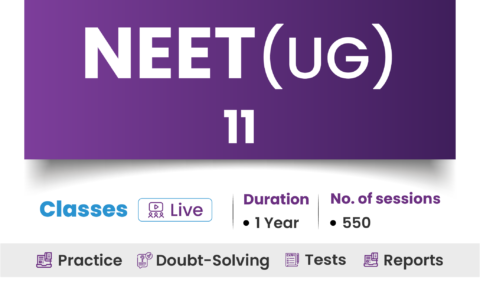 G11_NEET_ 480x304