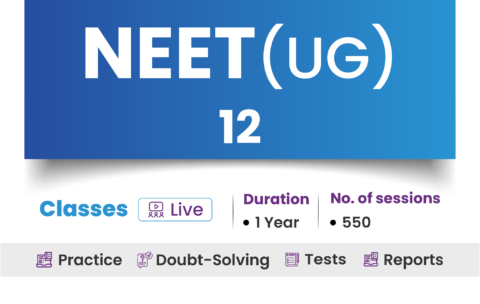 G12_NEET_ 480x304